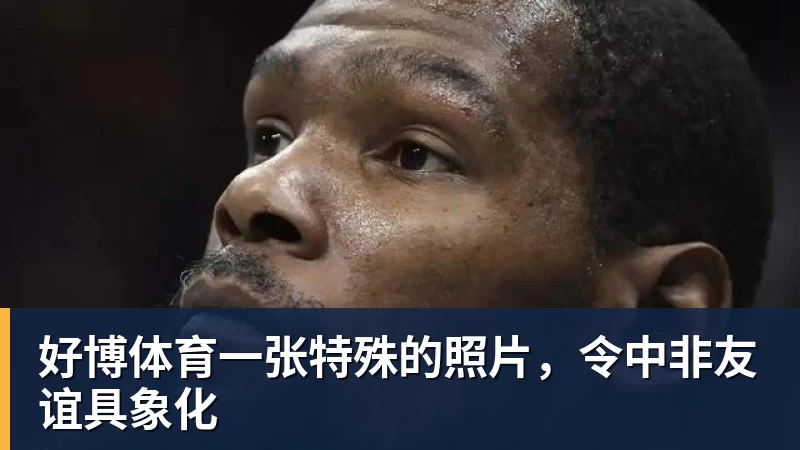 好博体育一张特殊的照片,令中非友谊具象化