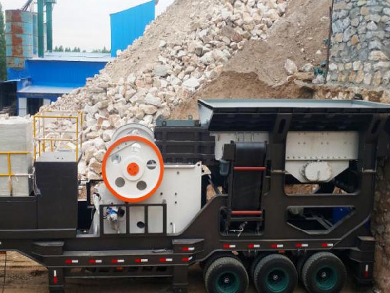 mobile jaw crusher case